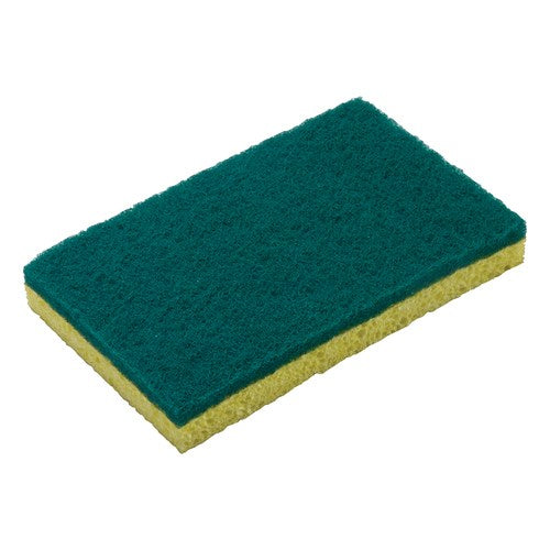 Scrub Sponge